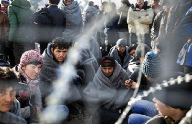 Serbia Ready to Accept  Migrants: Official